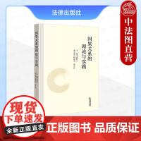 正版 因果关系的理论与实践 钱叶六 理论法学 刑法学因果关系研讨论文汇编 客观归责理论 相当因果关系说 条件说 原因