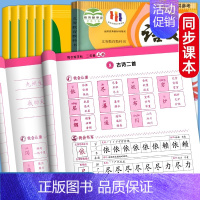 同步字帖.上册 小学二年级 [正版]量大优惠一年级二年级三小学生四五六练字帖上册下册同步练字帖每日一练语文生字同步描红人