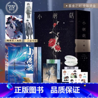 [正版]印特签 两周年烫金刷边 特装书 典藏版 小蘑菇 一十四洲 全套2册 青春文学科幻爱情纯爱言情小说晋江实体书籍