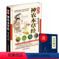 [正版]精版神农本草经中医基础理论自学百日通中医书籍大全中草药全图鉴方剂学中药材(送小蓝本)