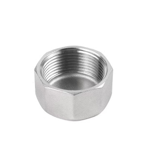 伟鹏双兴 304不锈钢六角内丝管帽 DN10(3分) 个