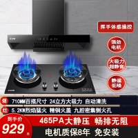 志高(CHIGO)F811+F216A欧式直吸抽油烟机燃气灶具套餐双灶眼 电机免费终身换新 (天然气)