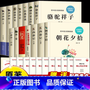 [全12册]新初中必读名著十二本 [正版]初中必读名著十二本课外阅读书籍初中生中考12本人教版朝花夕拾西游记红星照耀中国
