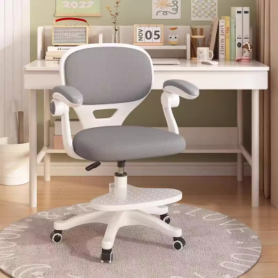 儿童学习椅家用可升降调节座椅矫正坐姿写字椅子小学生舒适书桌椅