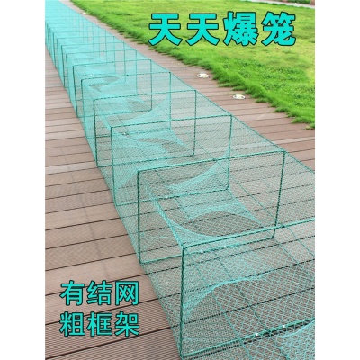 昂刺鱼价格 昂刺鱼最新报价 昂刺鱼多少钱 苏宁易购