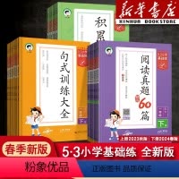 [三本]句式训练大全+积累与默写+语文阅读真题60篇 一年级下 [正版]2024版53小学基础练一年级二年级四年级五六三