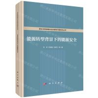 [N]能源转型背景下的能源安全(精)/国家宏观战略中的关键性问题研究丛书-9787030712387