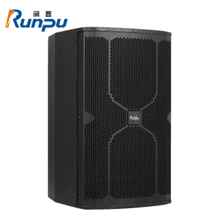 润普Runpu会议音频扩声系统专业双10英寸会议音箱无源音响礼堂会议室扩声放音设备RP-SY-XF1020