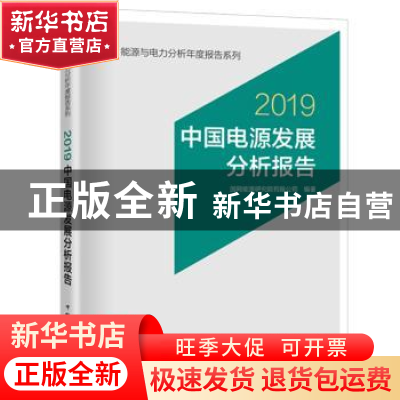 正版 中国电源发展分析报告:2019 国网能源研究院有限公司 中国电