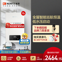 能率(NORITZ) 13升燃气热水器 全屋恒温巡航 多点用水恒温 智慧息屏 天然气强排式 13EA2FEX