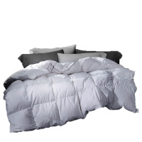 天琴双人被200*230cm柔软舒适贴身亲肤臻品羽绒TQ-B028