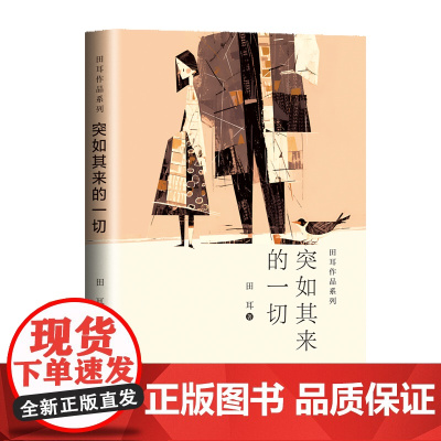 突如其来的一切(田耳作品系列)