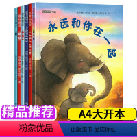 第三辑 爱的教育与情商培养绘本6册 [正版]德国引进6册大憨熊绘本情商培养 0-3-6-7周岁儿童睡前故事书早教启蒙阅读