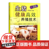 生猪健康高效养殖技术 李华磊主编 9787109322349 视频图文版生猪饲养技术大全养猪图猪
