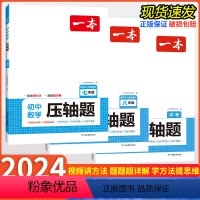 数学压轴题/人教版[中考] 初中通用 [正版]2024版 初中数学压轴题七八九年级中考数学人教版上册下册全一册应用题计算