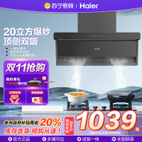 海尔顶侧双吸油烟机 一级能效 25m³/min 大吸力 触摸控制 钢化玻璃面板 480帕大静压 五年质保