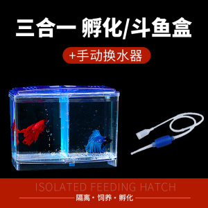 隔离盒孵化盒观赏鱼孔雀鱼斗鱼缸外饲养多功能繁殖亚克力悬浮