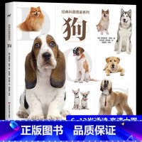 [主图款]经典科普图鉴系列—狗 [正版]经典科普图鉴系列—狗 爱狗人士的观赏性书籍科普绘本 动物百科全书大全趣味阅读6-