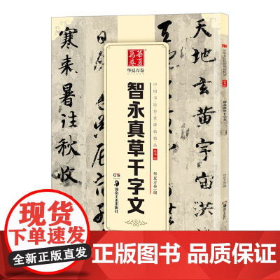 智永真草千字文(中国书法传世碑帖精品)中国书法传世碑帖精品 毛笔书法原帖拓本字帖 成人学生临摹古帖 简体旁注 湖南美术出