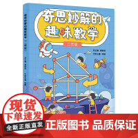 正版 奇思妙解的趣味数学(二年级)小学二年级小学数学思维经典读物 数学思维训练书籍小学2年级 思维扩展 趣味数学2年级