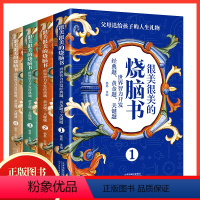 很美很美的烧脑书(全4册) [正版]很美很美的烧脑书 世界智力开发经典题 黄金题关键题1-4 小学生益智思维训练书 儿