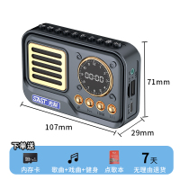 先科(SAST)多功能可充电插卡蓝牙收音机C1 黑色+16G内存卡+充电器迷你大屏便携式持久续航老人专用随身听FM收音机