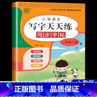 [任选3件8折]一年级练字帖上册 小学一年级 [正版]一年级上下册口算题卡 小学口算题10000道 1年级同步专项训练数