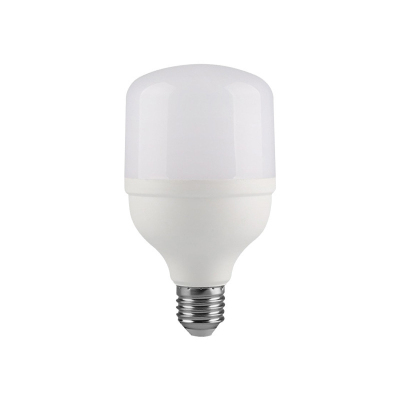 亿维顿 LED灯泡E27螺口 10W 个
