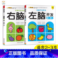 [正版]全脑开发思维训练2本2-3岁左脑右脑开发书籍幼儿大脑脑力开发训练书儿童开发大脑益智书籍二三岁孩子启蒙早教益智游