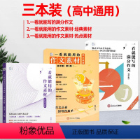 [推荐3本]经典素材+热点素材(第二版)+满分作文 高中通用 [正版]2024新版一看就能用的作文素材高中版 美文好词短