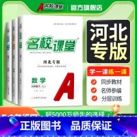英语.人教版 七年级下 [正版]河北专版2025/24语文数学英语物理化学道德与法治历史七八九年级下册初一二三教辅资料随