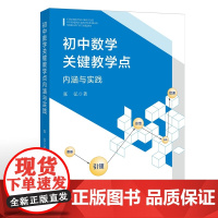 初中数学关键教学点:内涵与实践(梦山书系)