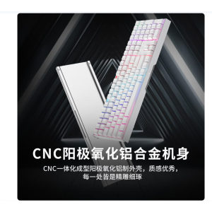 CHERRY樱桃MX3.0S机械键盘 游戏键盘 电竞键盘 有线办公电脑键盘108键白色青轴