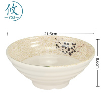 攸 中号青荷塑料碗 215*86*10mm 个