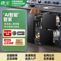 [政府补贴]康宝(Canbo)消毒柜嵌入式 大容量厨房碗筷餐具杯具 婴儿奶瓶紫外线 二星级高温 消毒XDZ110-Z1