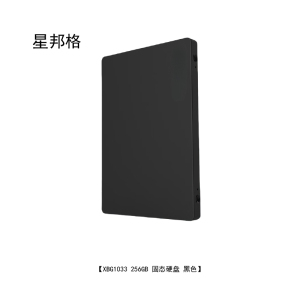 星邦格XBG1033 256GB固态硬盘(计价单位:个)黑色