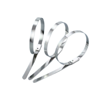 苏宇安不锈钢扎带 12*1800mm 根