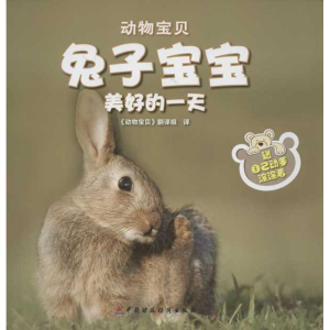 醉染图书兔宝宝美好的9787509536186