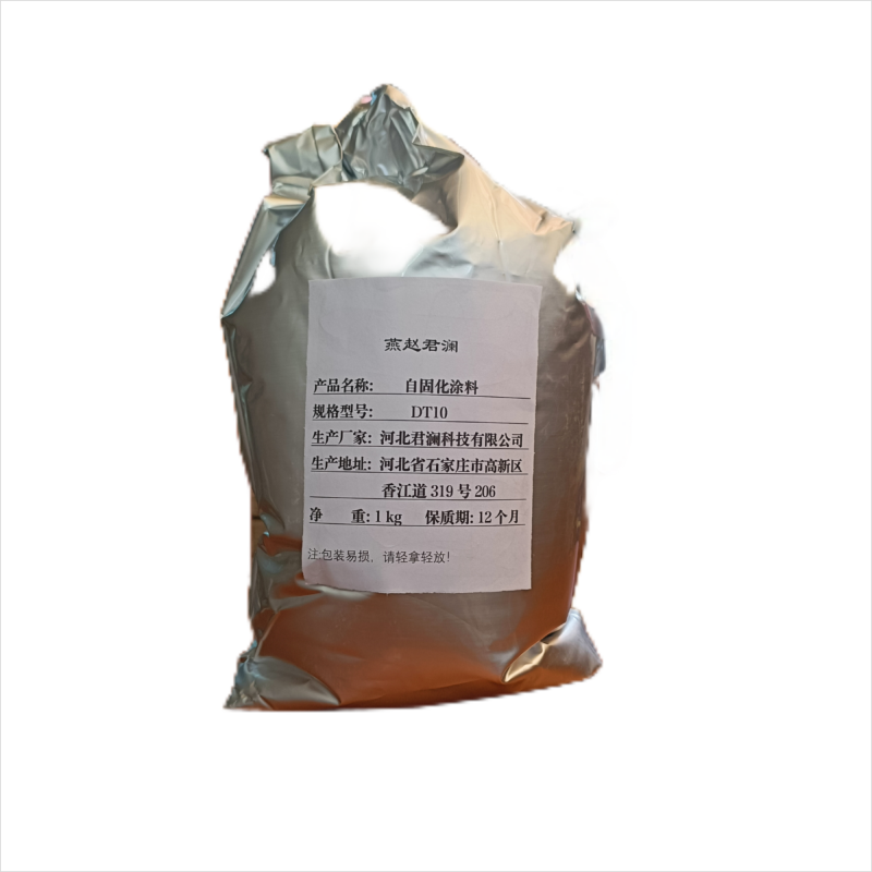 燕赵君澜自固化涂料DT10/kg
