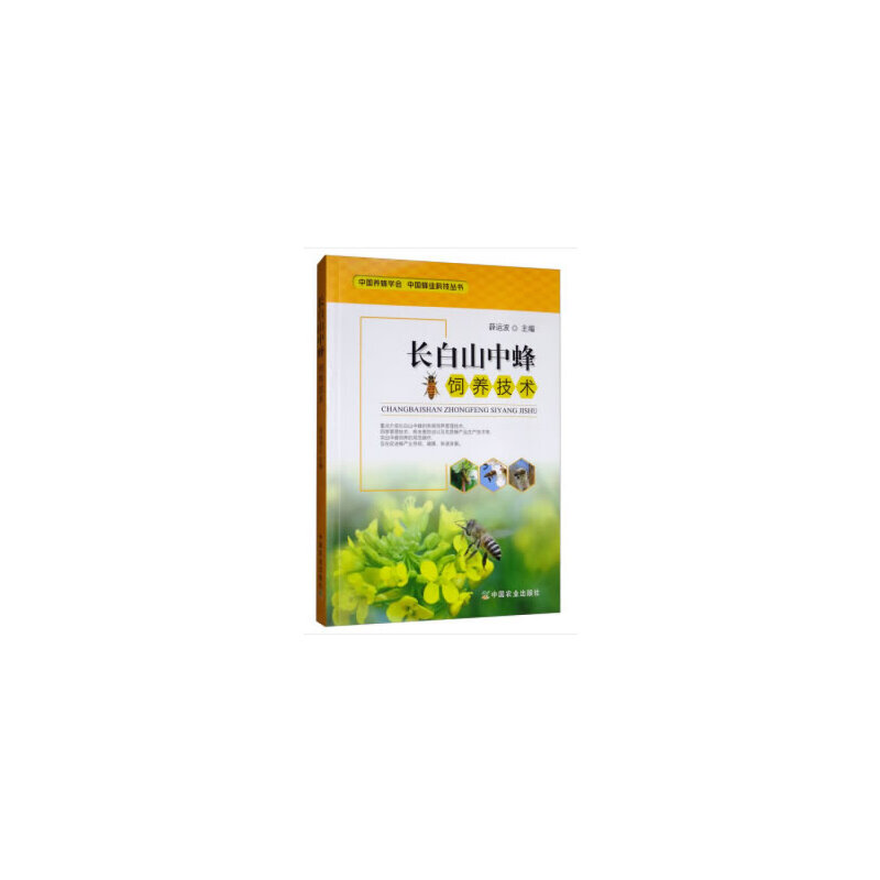 正版新书]长白山中蜂饲养技术薛运波9787109255876