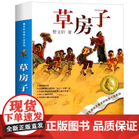 正版书籍 草房子 曹纯美小说系列青铜葵花根鸟10-12岁四五年级下册必读小学生课外经典阅读儿童文学江苏凤凰少年出版社