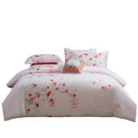 梦洁家纺 梦洁纯棉印花四件套:平安如意1010189098