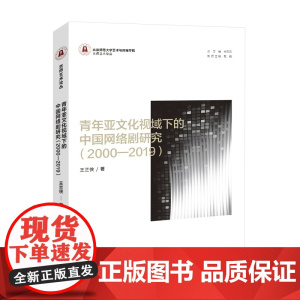 青年亚文化视域下的中国网络剧研究(2000—2019)