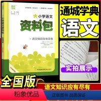 [正版] 2023年通城学典 小学语文资料包 江苏版 彩色语文基础知识集锦小升初语文工具书语文知识大集结福建少年儿