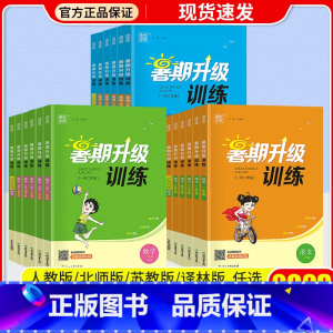 [3本] 语文+数学+英语/人教版 小学三年级 [正版]通城学典暑期升级训练一升二升三升四升五升六年级小升初下册语文数学