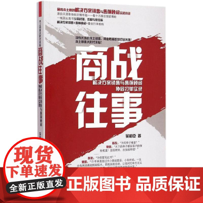 商战往事:解决方案销售与售前顾问协同打单实录 市场营销销售实战技巧 案例分析 企业管理场营销畅 当代小说 销售管理