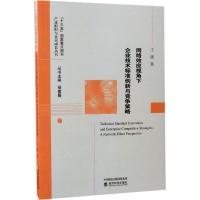 正版新书]网络效应视角下企业技术标准创新与竞争策略王硕 著978