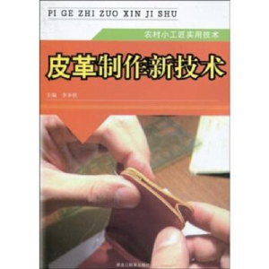 正版新书]农村小工匠:玻璃的手工艺李乡状9787531650423