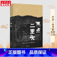 焦点二里头 [正版]焦点二里头 许宏 著 文物/考古社科 书店图书籍 巴蜀书社
