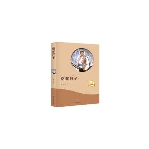 正版新书]有声伴读 骆驼祥子老舍9787519428563